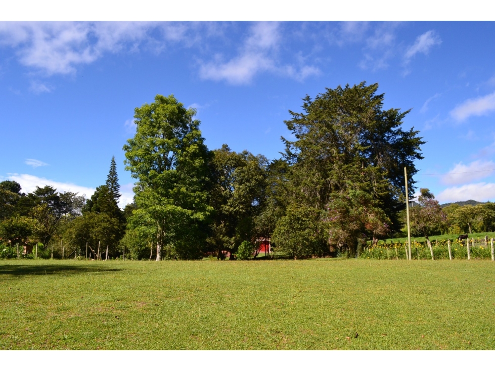 lote urbano en la Ceja Antioquia 10.000 m2 dearrollo recidencial