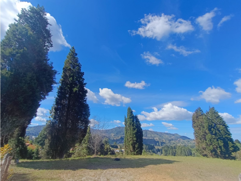 lote para venta Guarne sector hojas anchas 5558 m2