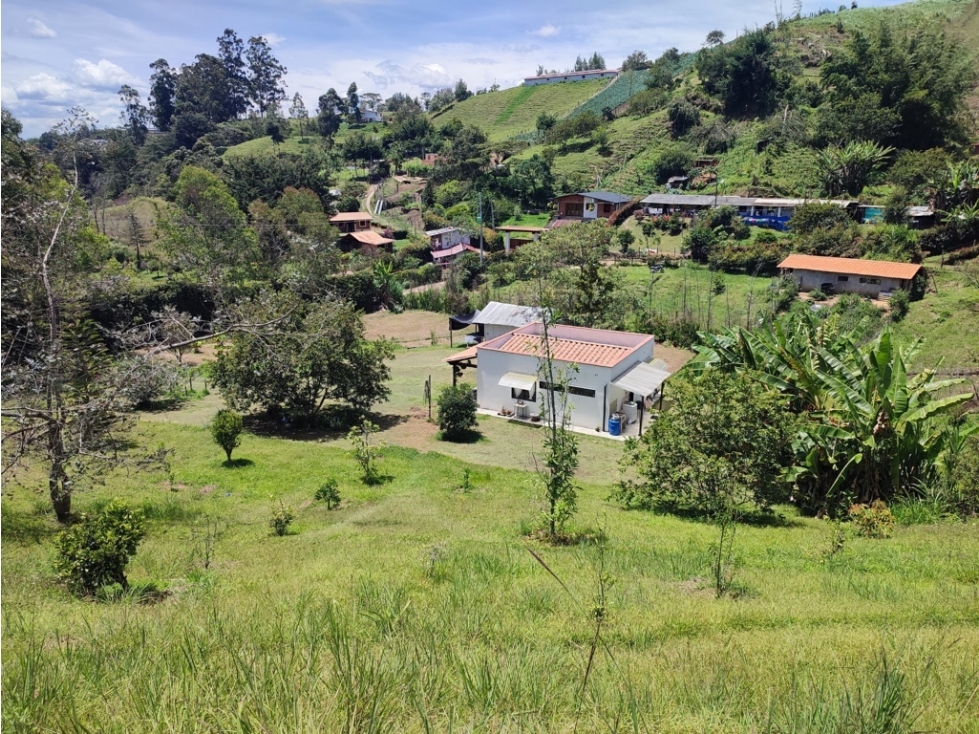 casa finca en venta Santuario, sector pantanillo. 5.000 m2
