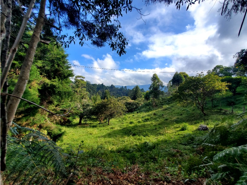Lote en venta en Guarne Vereda La Hondita. 3.833 m2 LM
