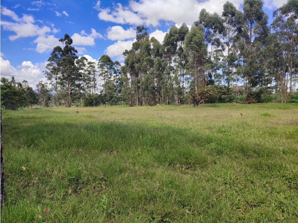 venta Lote Comercial de 5600 m² en el Corazón de Llanogrande SM
