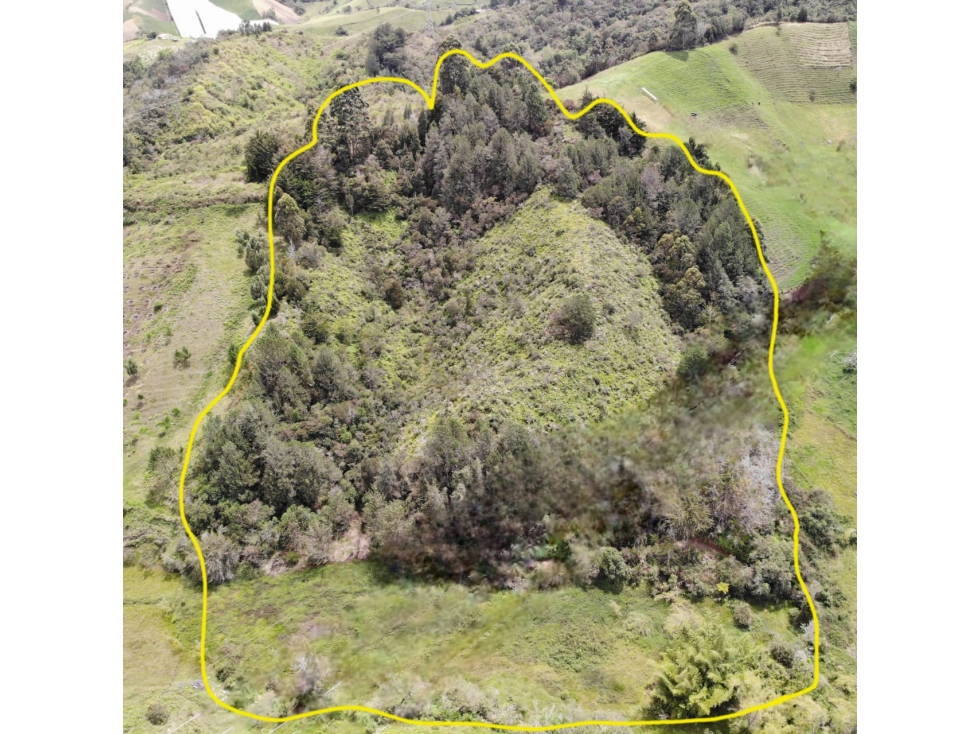 Eco Lote de 37.788 m² con Bosque y Nacimiento de Agua Marinilla
