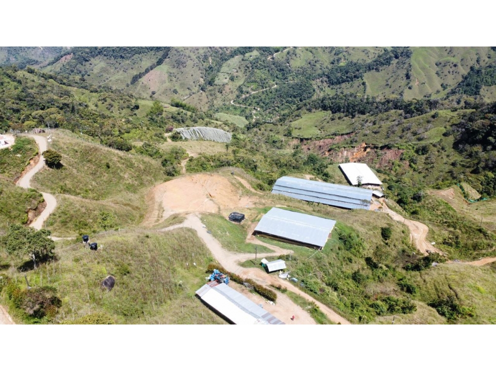 Finca productiva en venta en Granada Antioquia 27 hectáreas - 1