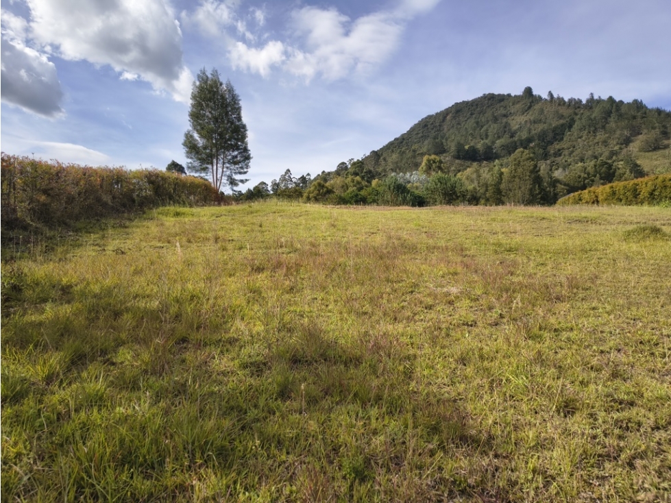 Lote campestre en venta en La Ceja Antioquia, 5.600 m² - 1