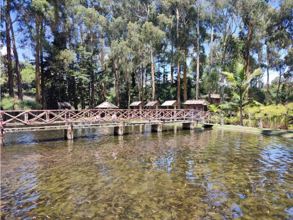 Finca Turística Rentable en Venta, en Sonsón, restaurante, y lago. - 5