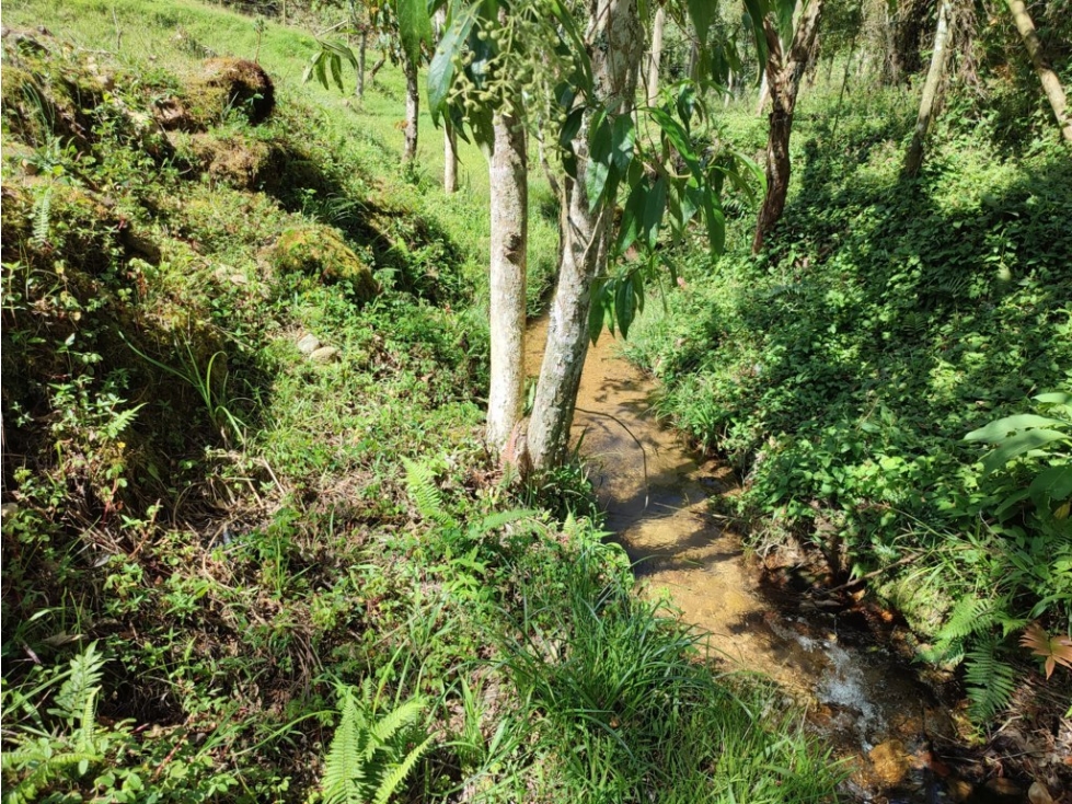 lote en venta el Retiro sector el chuscal 5,000 m2 — foto 4