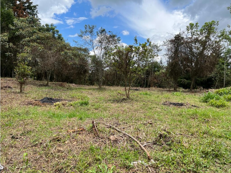 lote en venta Rionegro los pinos. 7,950 m2 #22 — foto 2