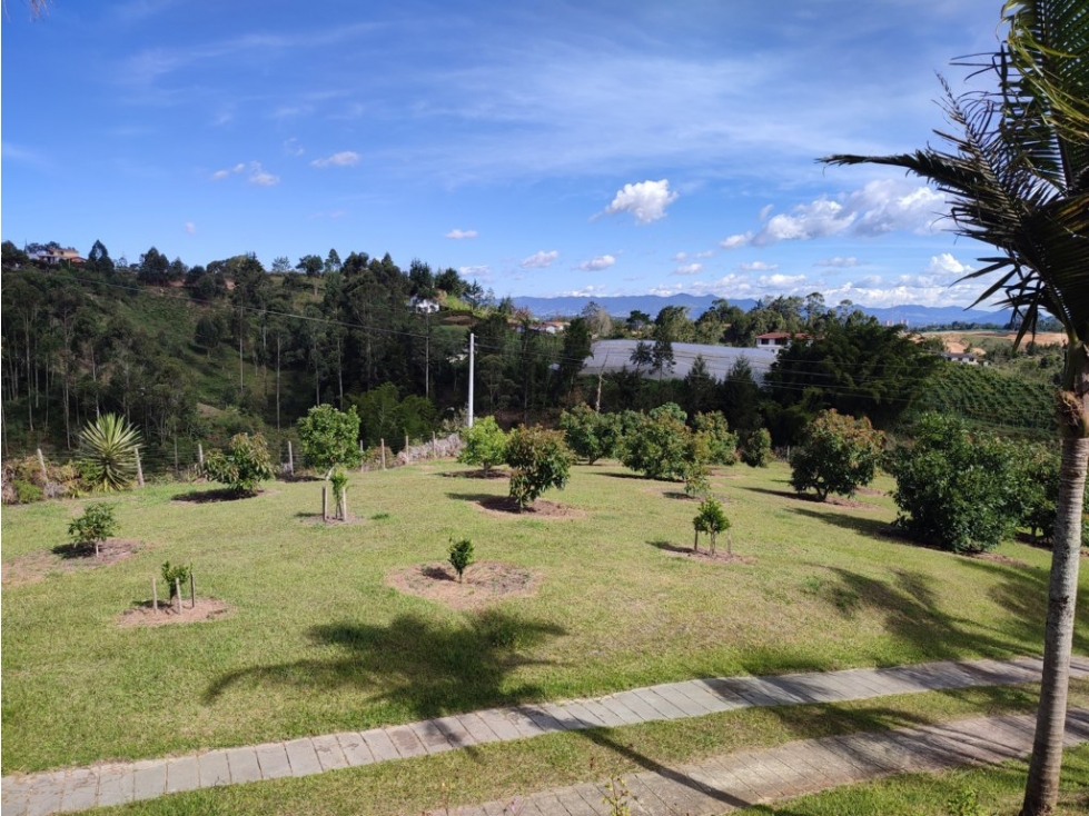finca en venta Rionegro Antioquia con sembrado de Aguacate OR — foto 2