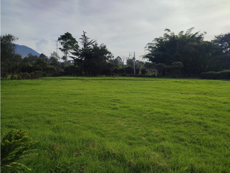 lote en venta la Ceja sector sector el yarumo reserva Silvestre LDC — foto 2