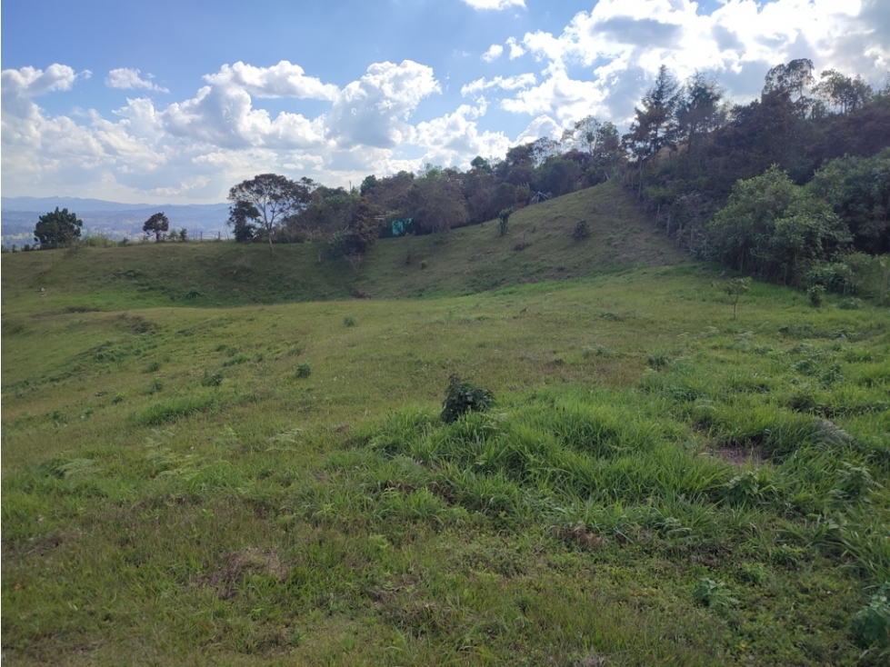 vendo lote Guarne sector la clarita parte alta 5.000 m2 — foto 4