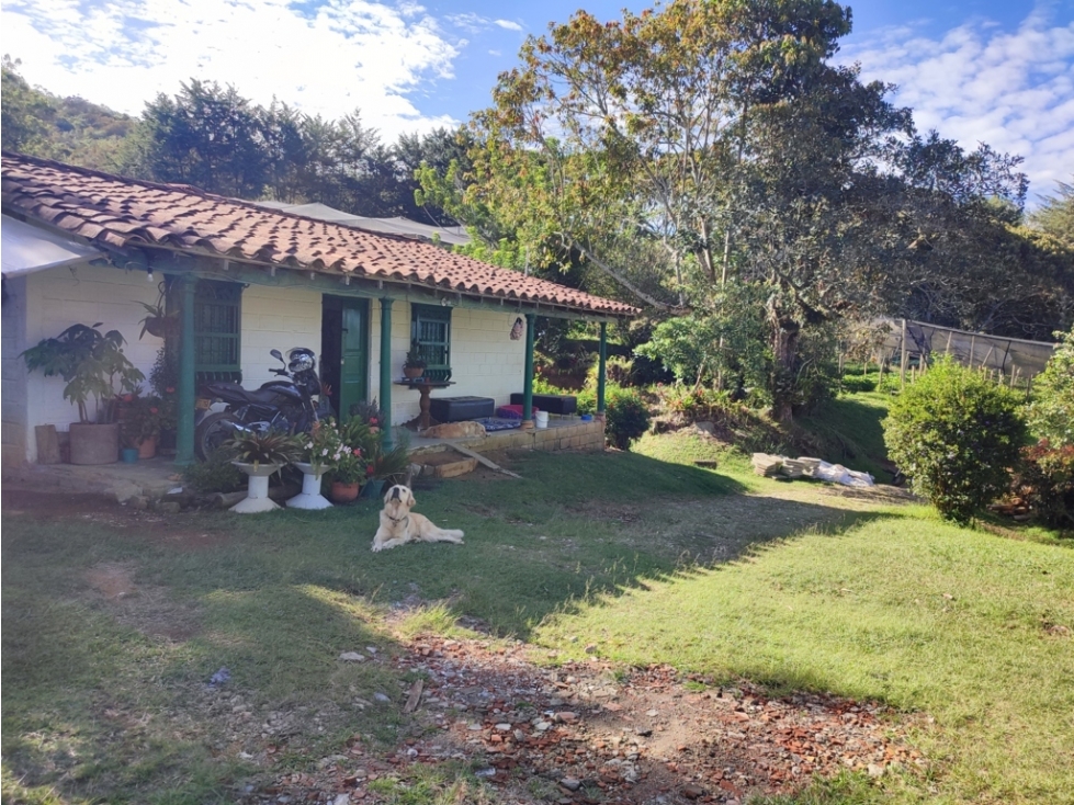 vendo finca Rionegro Antioquia sector capiro - santa Teresa 6.5 HA — foto 2