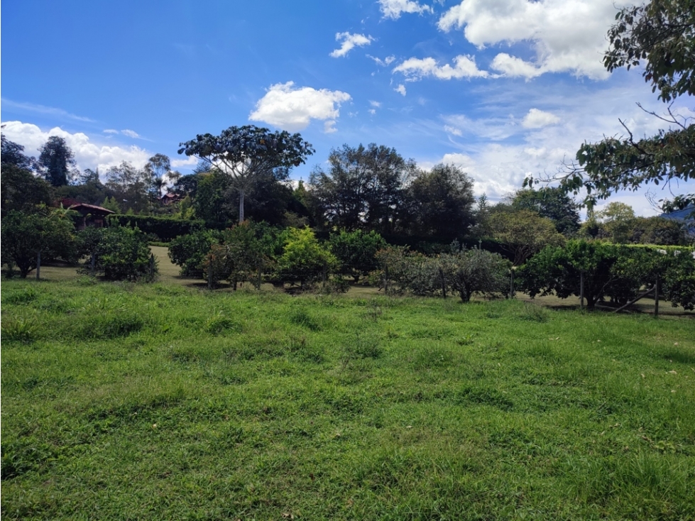 Lote Campestre de 10.959 m² en Venta | Parcelación El Yarumo | La Ceja — foto 4