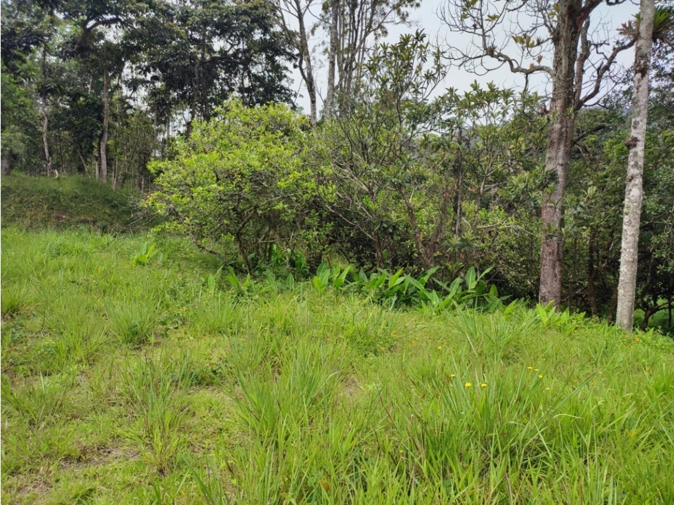 vendo lote, terreno en Guarne Antioquia 36.000 m2 — foto 2