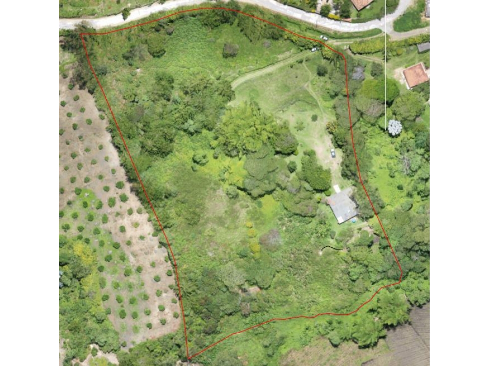 vendo finca Rionegro Antioquia, cerca a la zona Urbana — foto 2