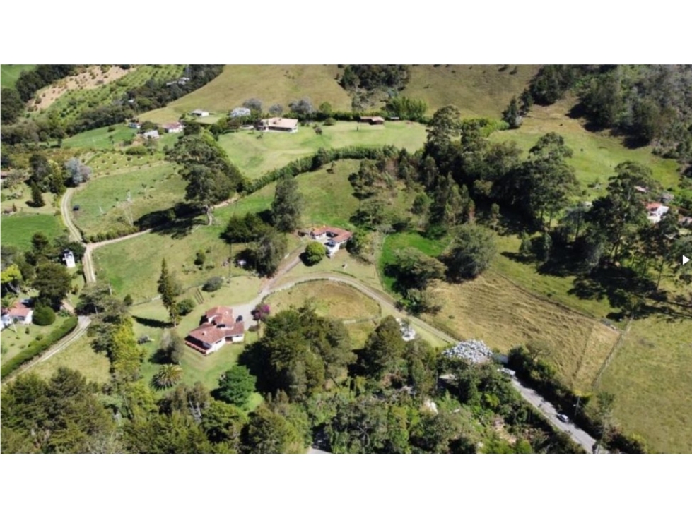 vendo finca la Ceja Antioquia, vía a llano grande 2,7 hectáreas — foto 2