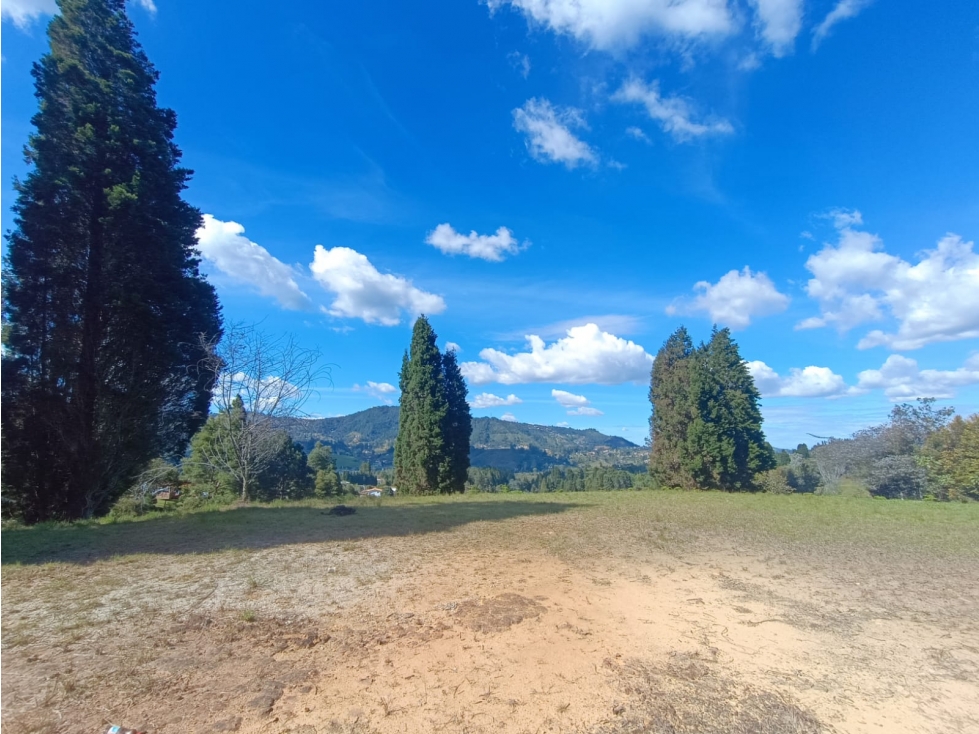 lote para venta Guarne sector hojas anchas 5558 m2 — foto 2