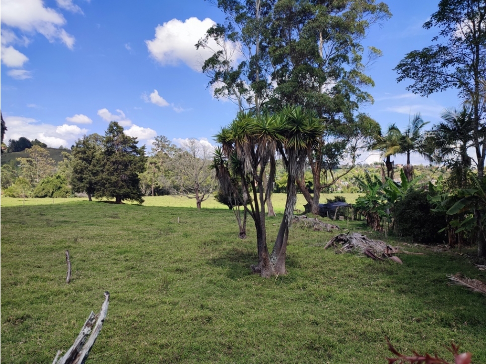 terreno industrial para venta Rionegro Antioquia 10 Hectáreas — foto 2