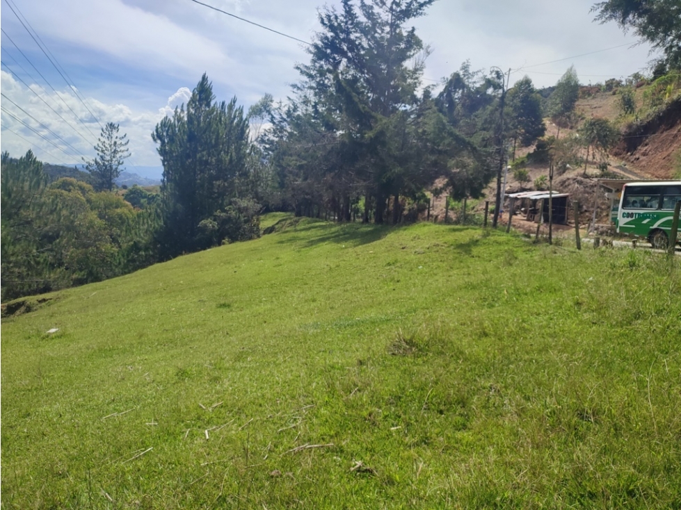 Lote con gran proyección en Santuario, rodeado de naturaleza JCIA — foto 3