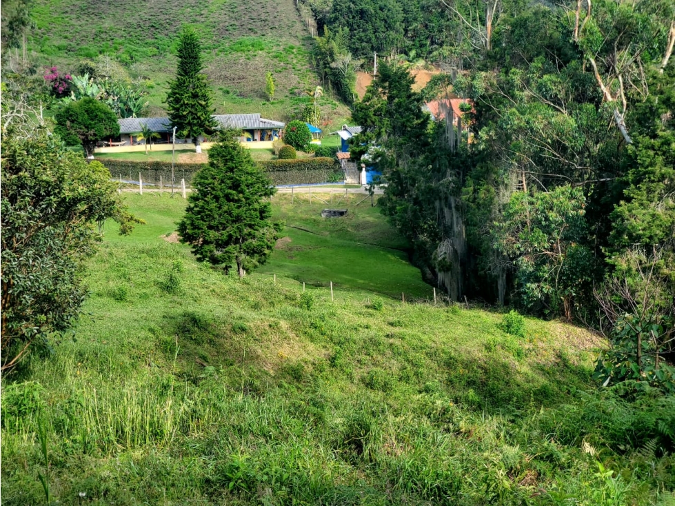 Lote en venta en Guarne Vereda La Hondita. 3.833 m2 LM — foto 2