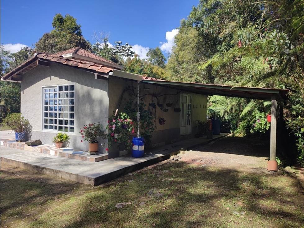 Vive entre naturaleza y tranquilidad en La Ceja. finca en venta — foto 2