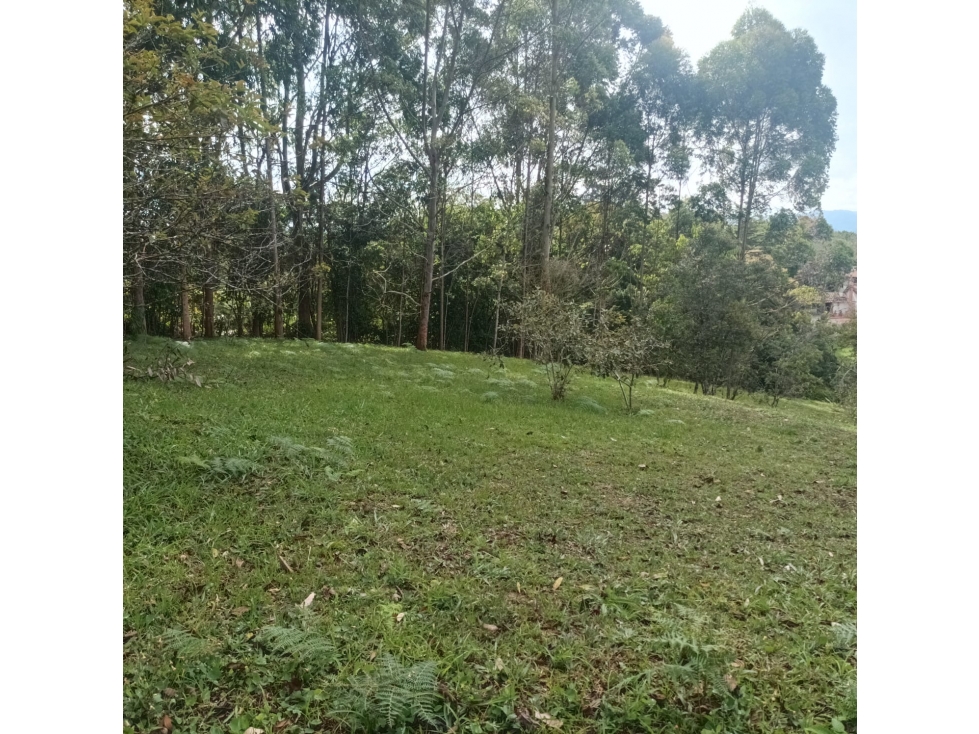 Exclusivos Lotes en Rionegro, Lotes Únicos en Vilachuaga en venta. — foto 2