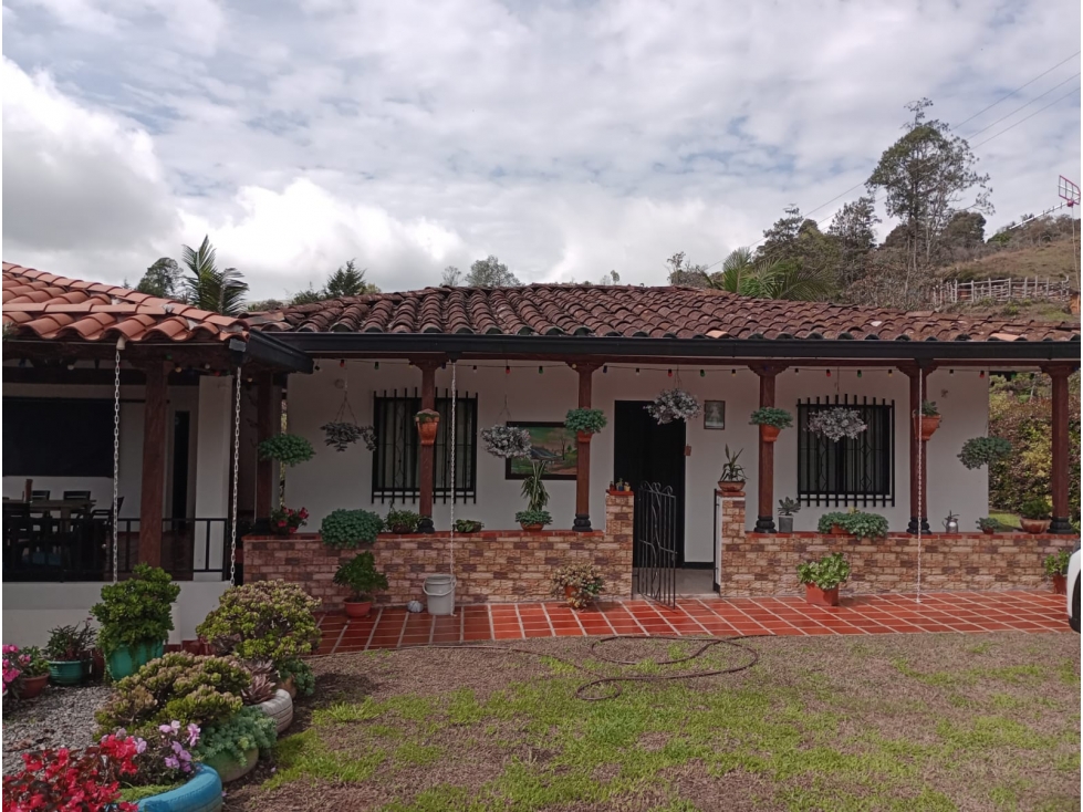 VENDO FINCA MARINILLA VIA PEÑOL 8 MIL METROS CA — foto 4