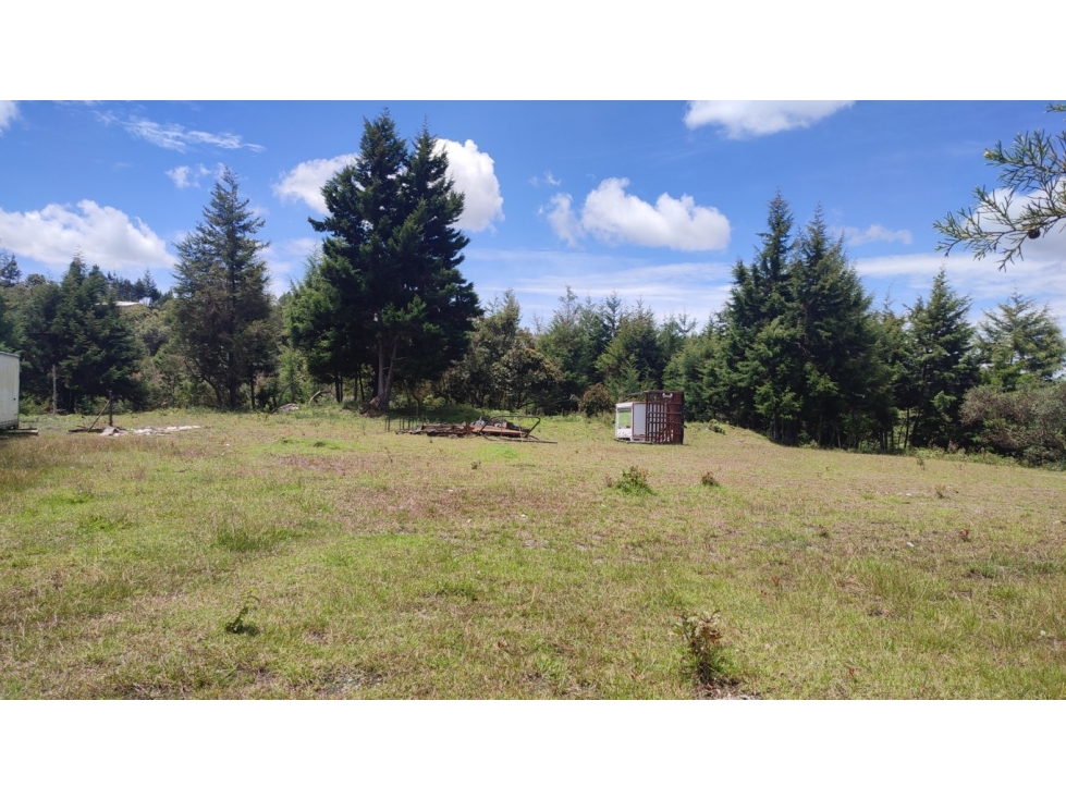 lote industrial en venta. Rionegro Antioquia. variante aeropuerto — foto 3