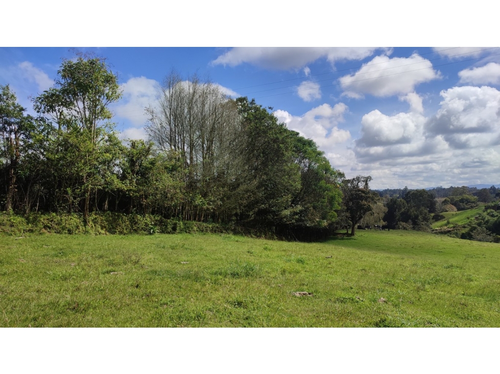 Vendo lote Rionegro Antioquia Rancherías aeropuerto.SM — foto 3