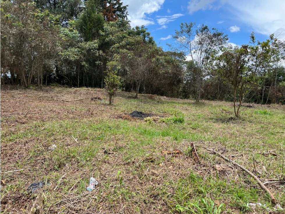lote en venta Rionegro los pinos. 7,950 m2 #22 — foto 3