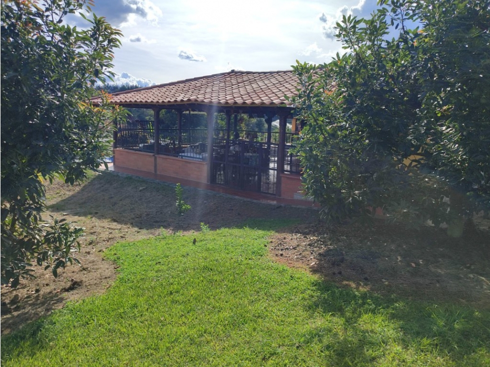 finca en venta Rionegro Antioquia con sembrado de Aguacate OR — foto 3