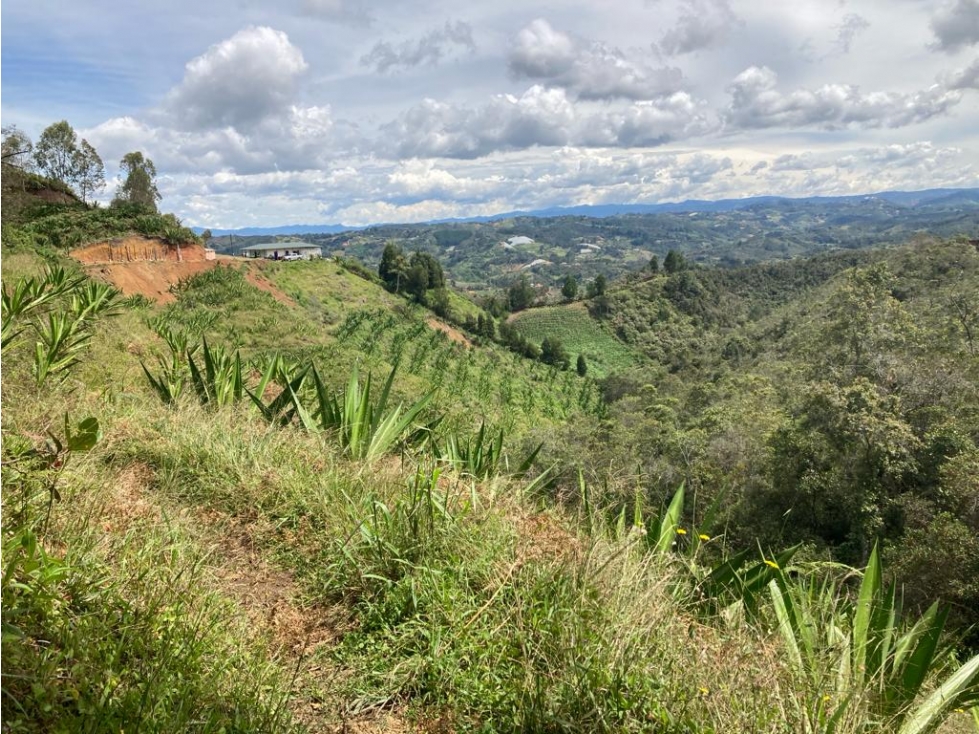 Finca en venta en San Vicente Ferrer 17,5 HA la Magdalena. — foto 3