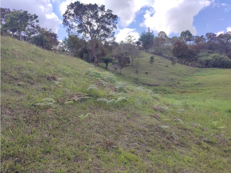 vendo lote Guarne sector la clarita parte alta 5.000 m2 — foto 3