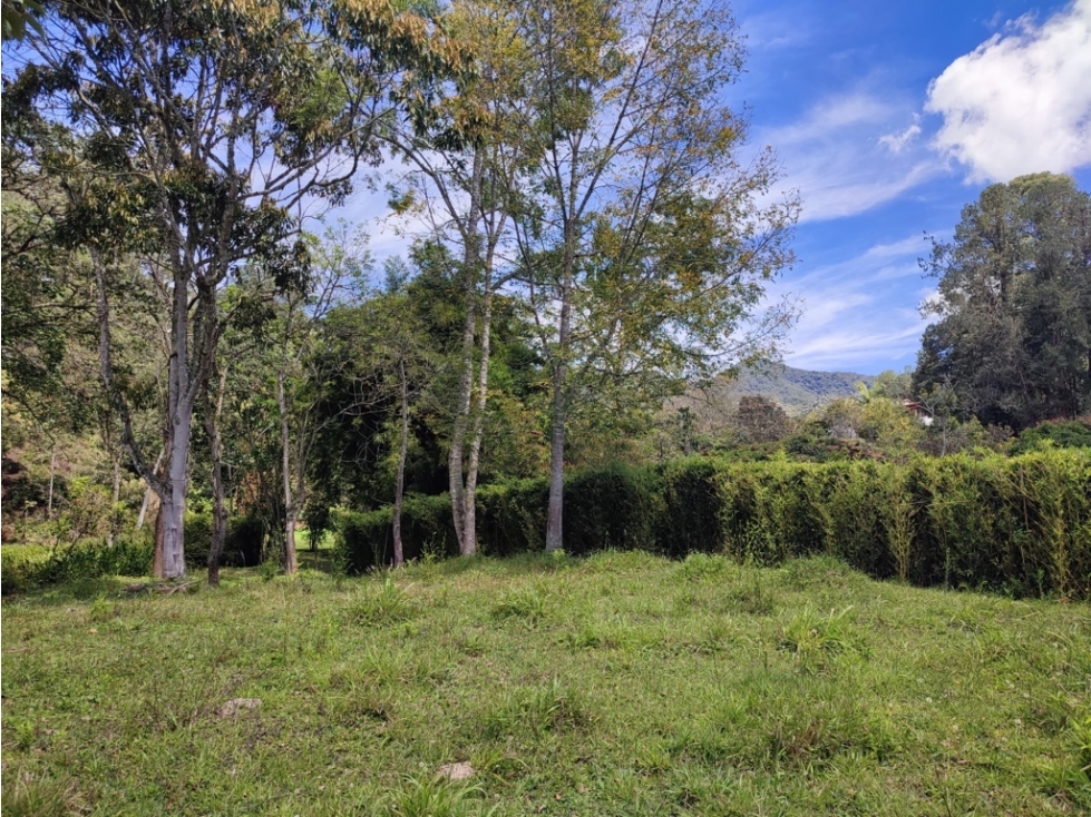 Lote Campestre de 10.959 m² en Venta | Parcelación El Yarumo | La Ceja — foto 5