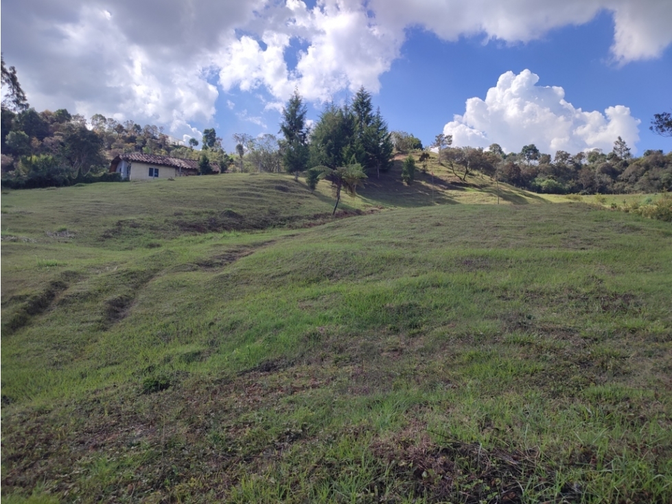 vendo lote campestre Guarne 5.000 m2 sector la clara — foto 3