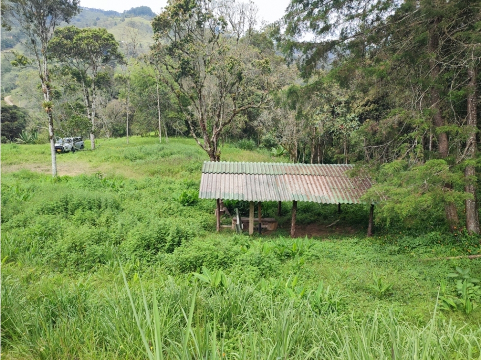 vendo lote, terreno en Guarne Antioquia 36.000 m2 — foto 3