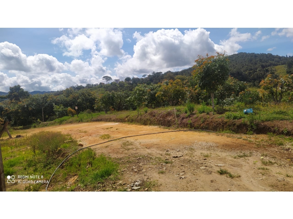 vendo finca productiva san vicente Ferrer Antioquia 93,4 hectareas — foto 2