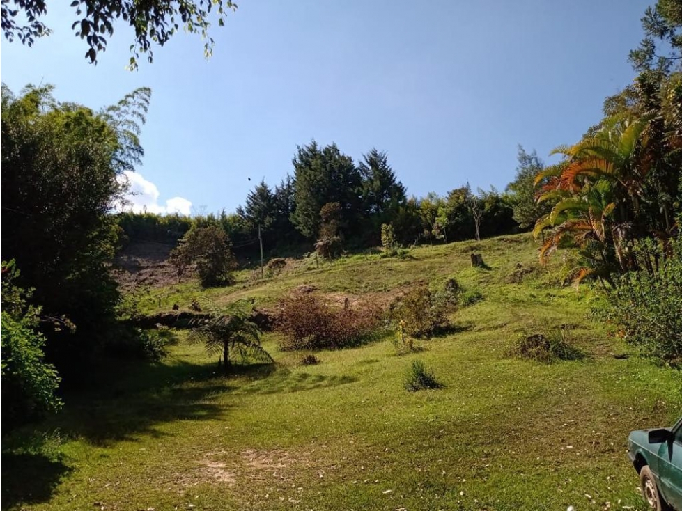 vendo finca Rionegro Antioquia, cerca a la zona Urbana — foto 3