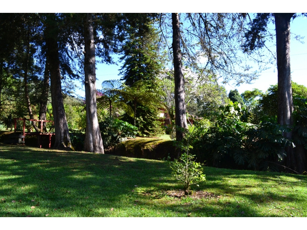lote urbano en la Ceja Antioquia 10.000 m2 dearrollo recidencial — foto 3