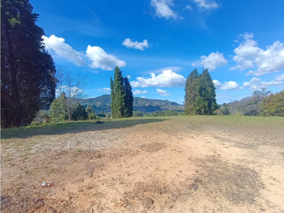 lote para venta Guarne sector hojas anchas 5558 m2 — foto 3