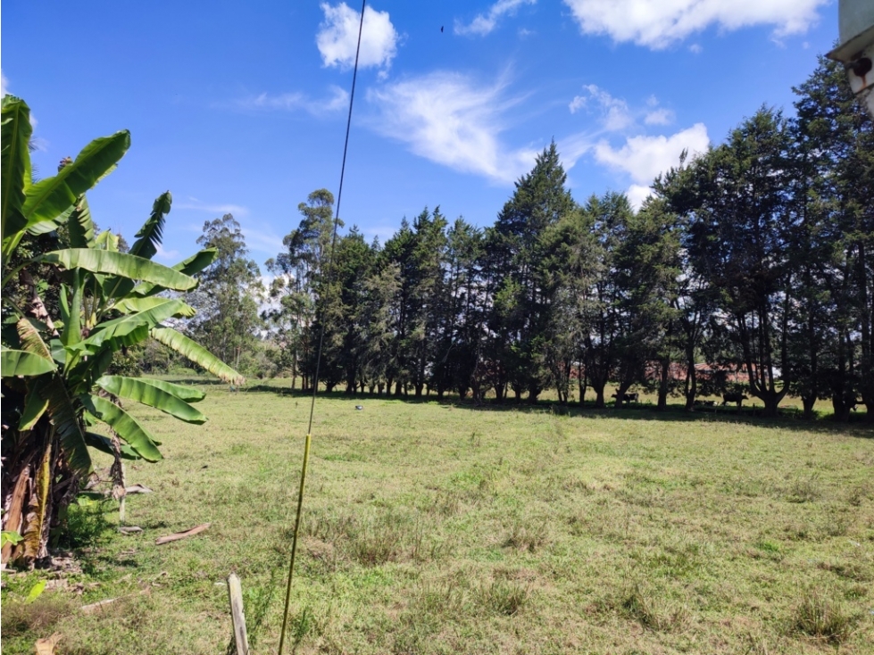 terreno industrial para venta Rionegro Antioquia 10 Hectáreas — foto 3