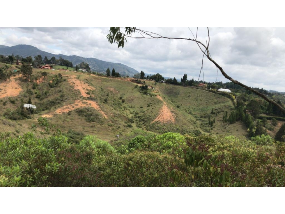 Finca en guarne Antioquia para parcelar, o producción 10,9 hectáreas — foto 3