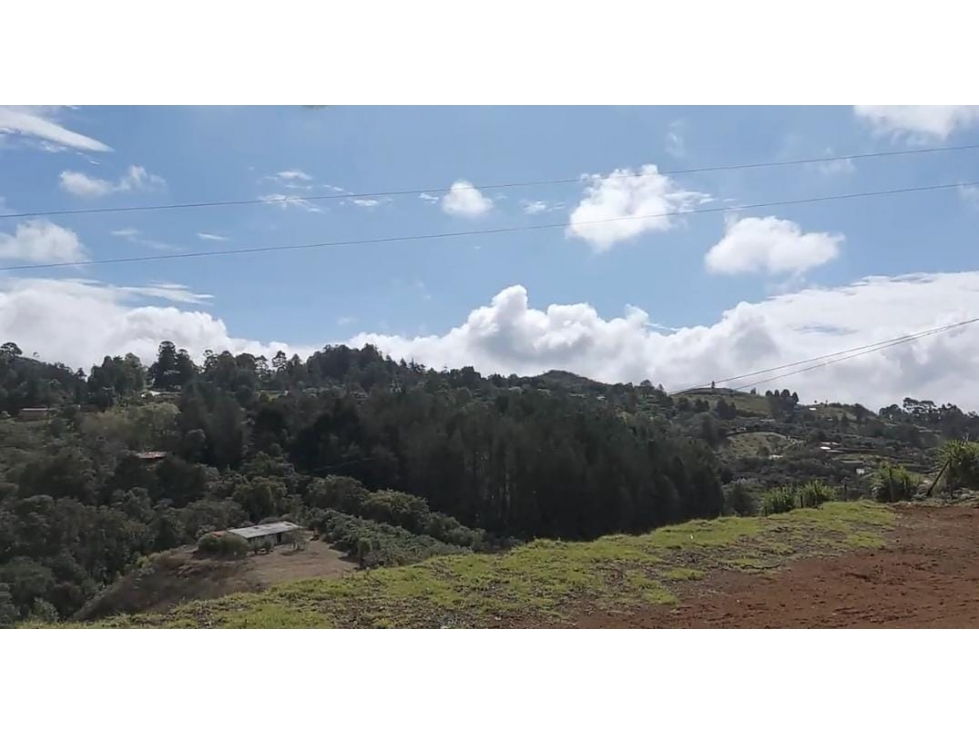 Invierte en Guarne: Lote campestre, de 4.091 m², oportunidad — foto 3