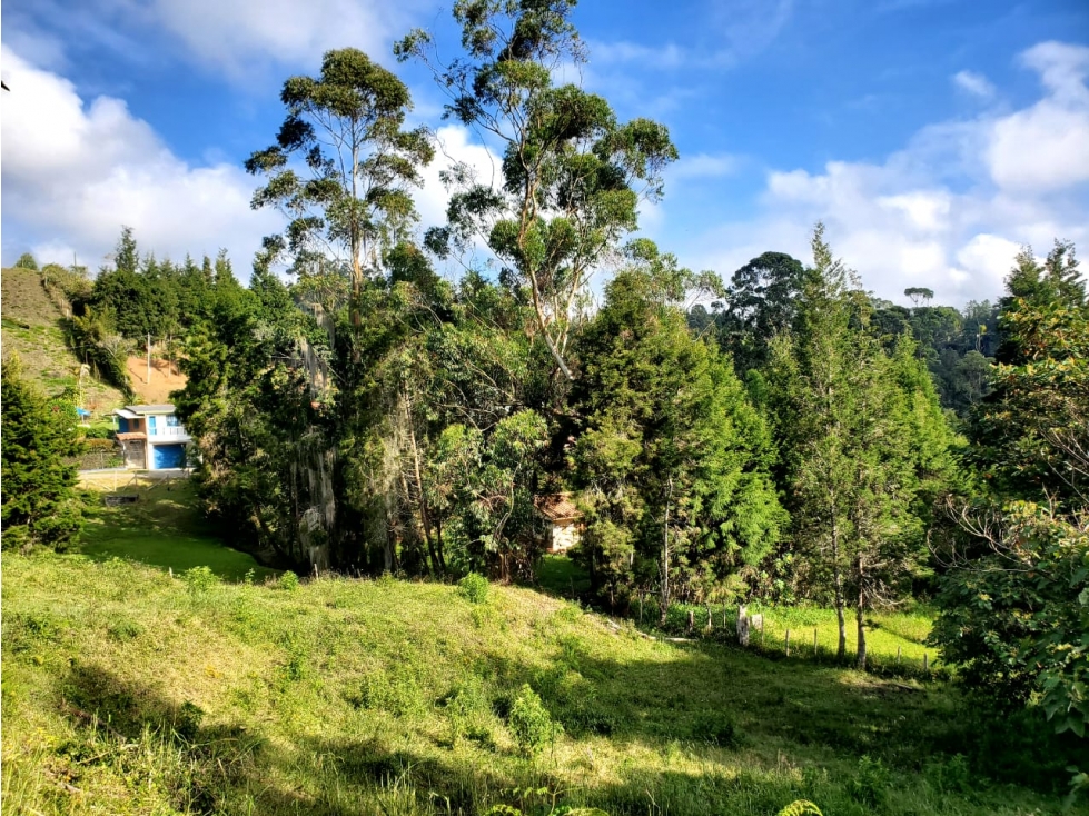 Lote en venta en Guarne Vereda La Hondita. 3.833 m2 LM — foto 3