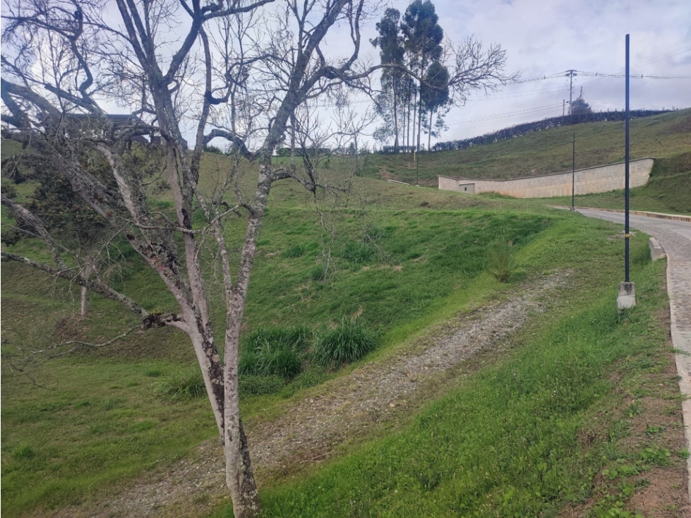Lote en Venta en Rionegro | Exclusividad y Naturaleza — foto 3