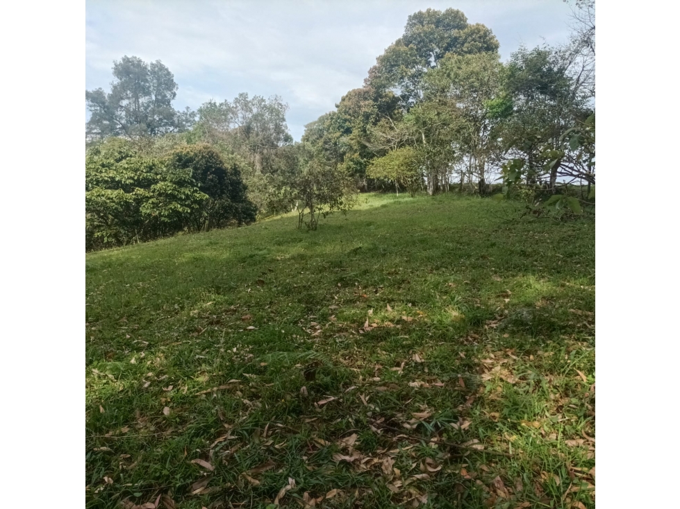 Exclusivos Lotes en Rionegro, Lotes Únicos en Vilachuaga en venta. — foto 3