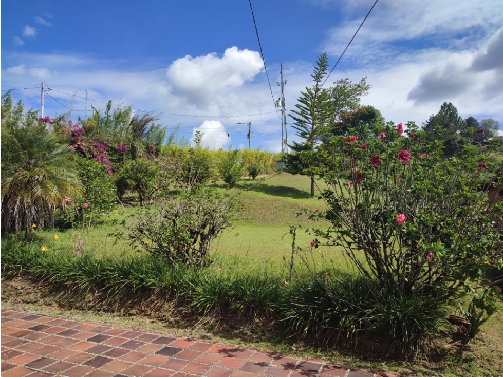 Finca Productiva en venta, Guarne 16.782 m² cerca a la autopista. — foto 4