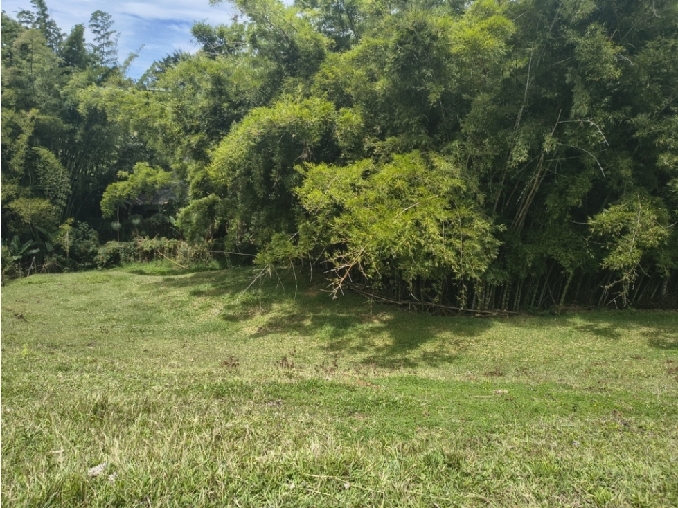 Lote en venta en Quirama El Carmen de Viboral Antioquia | 2.327 m² — foto 3