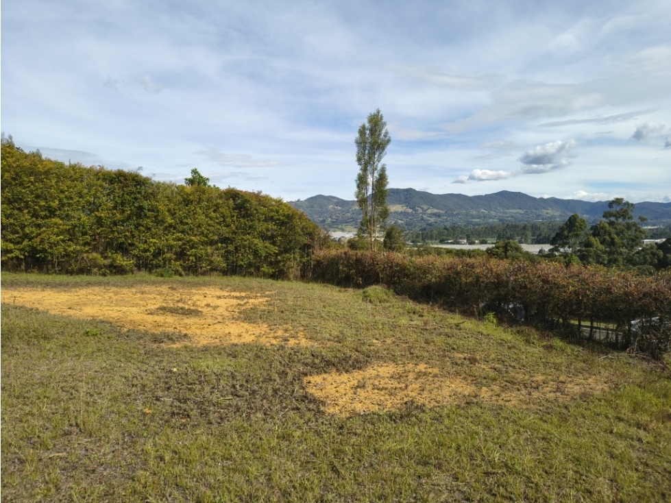 Lote campestre en venta en La Ceja Antioquia, 5.600 m² - 3