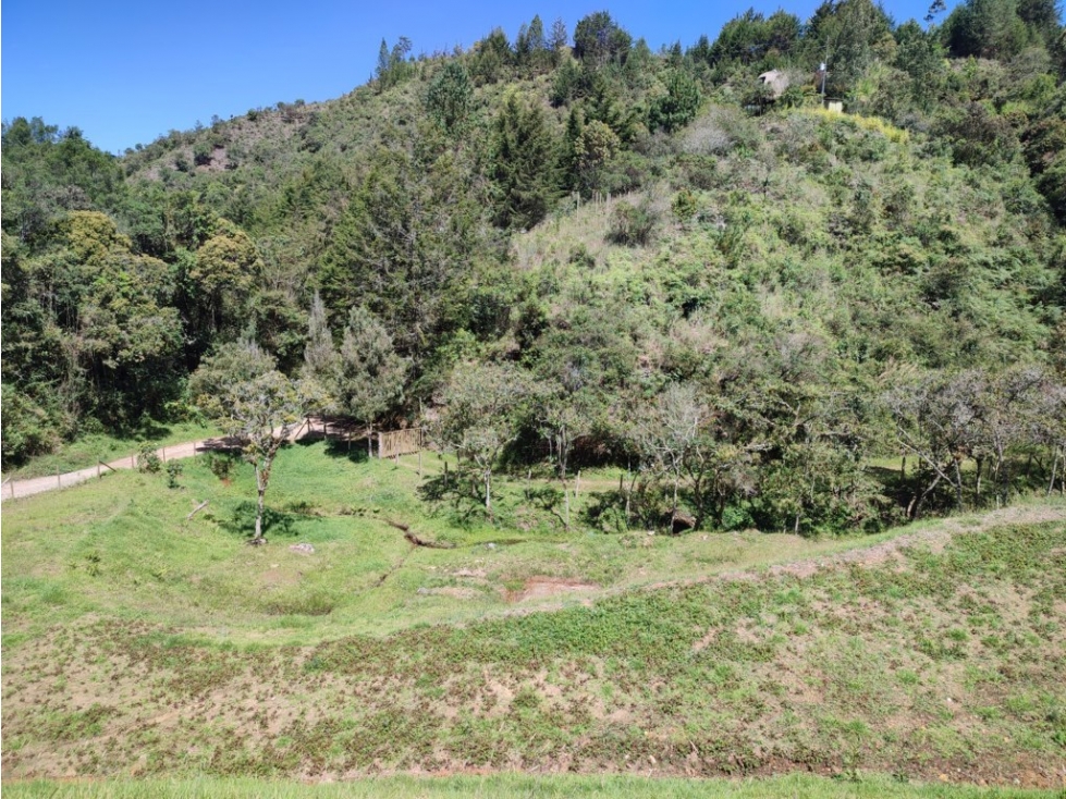 Lote campestre ideal para tu proyecto familiar, 10.000 m2 el Retiro — foto 2