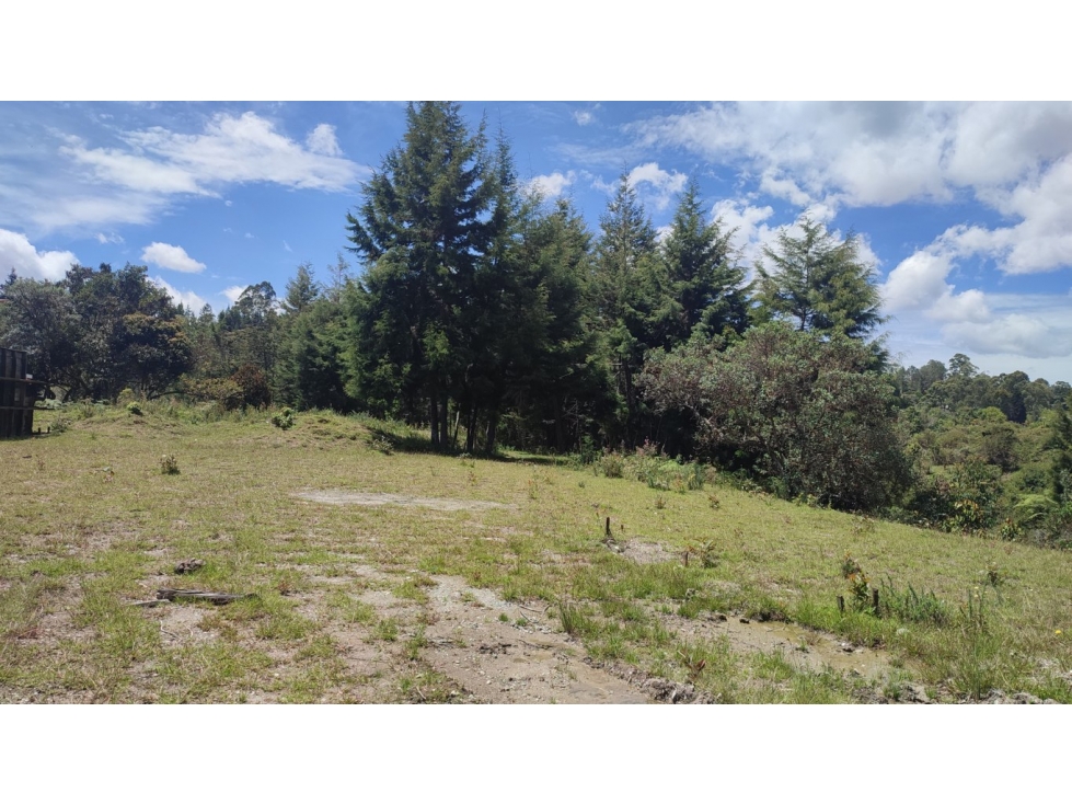lote industrial en venta. Rionegro Antioquia. variante aeropuerto — foto 4